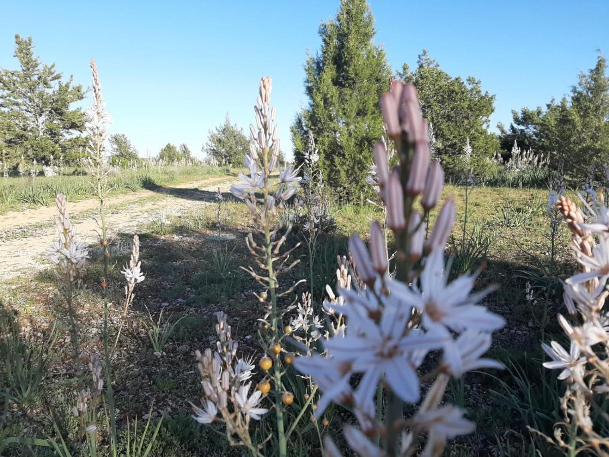 Casa Rural Sierra Del Solorio Iruecha Εξωτερικό φωτογραφία